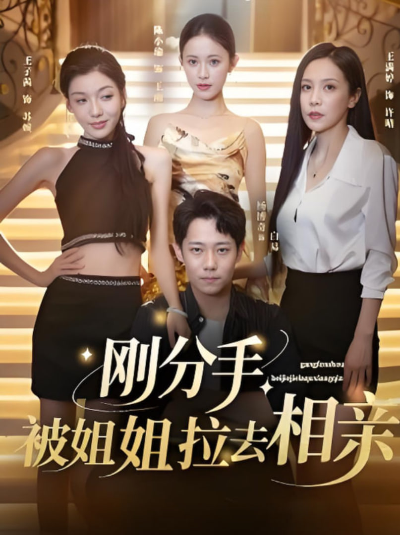刚分手被姐姐拉去相亲（分手被姐姐拉去相亲） - 第73集完结_剧情解析_明德艾影-大片网